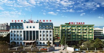 爾友針織 以“針”情“織”禮，端午關愛暖人心