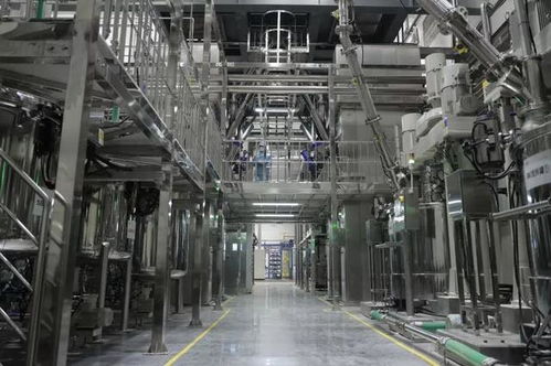 車動力探秘弗迪電池超級工廠 見證刀片電池“針紡織品”般的針刺測試